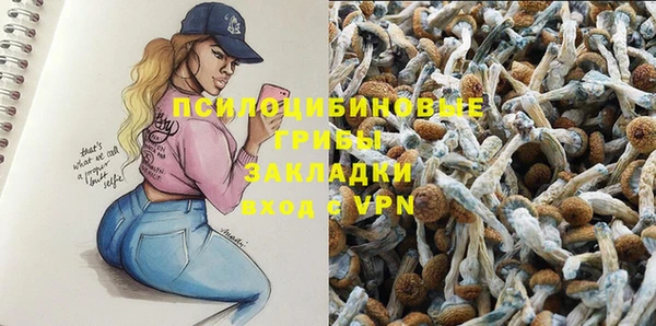 спайс Липки