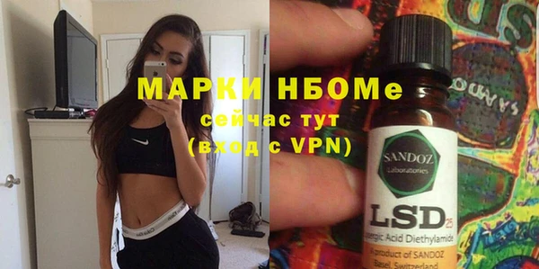винт Лагань